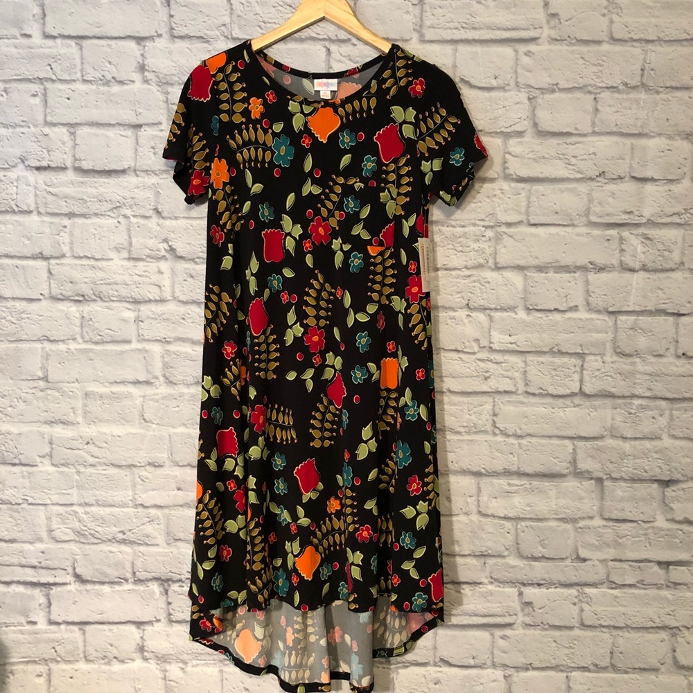 LulaRoe Carly dress